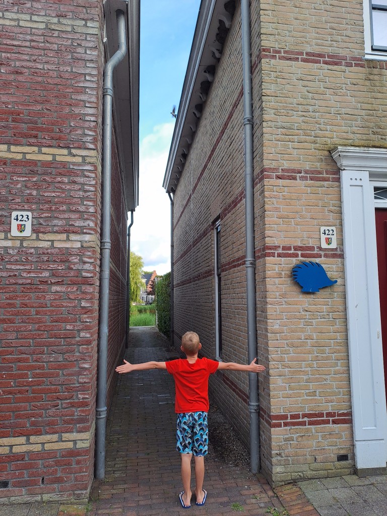 20250722_205210.jpg