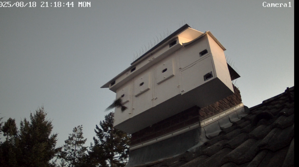 Screenshot (9939) (Groß).png