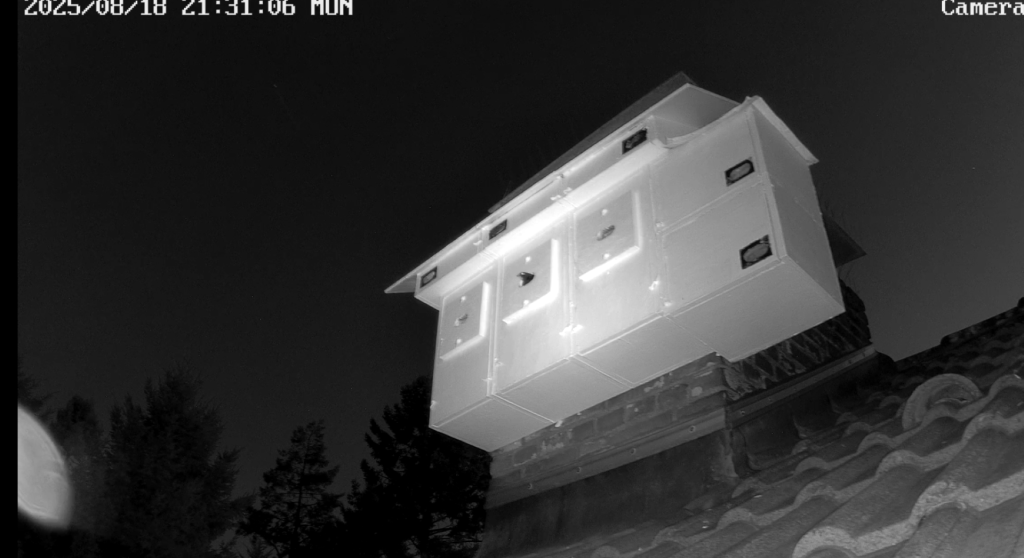 Screenshot (9965) (Groß).png