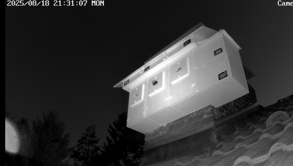 Screenshot (9969) (Groß).png