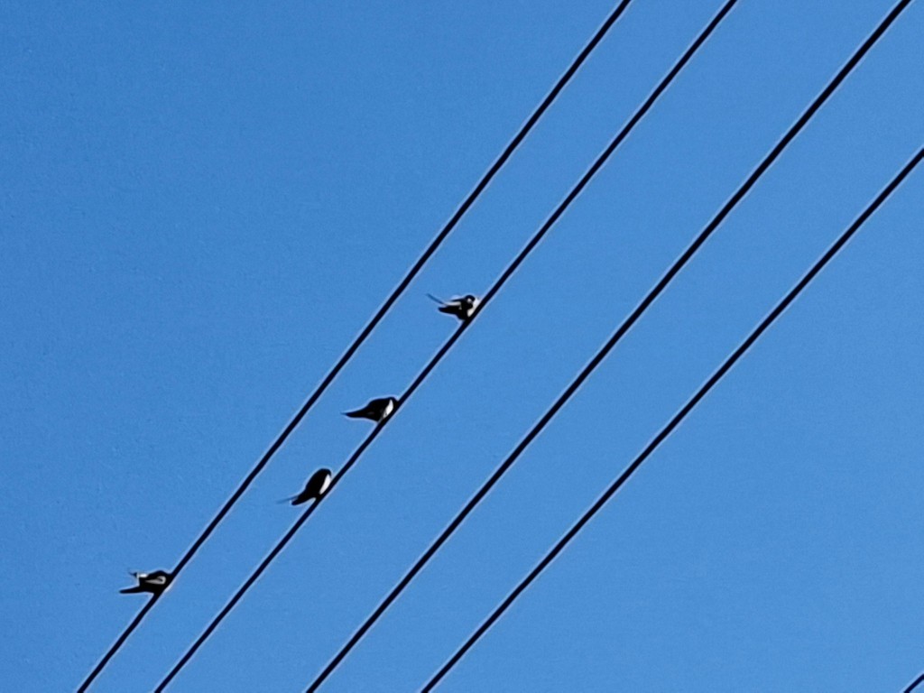 20250908_100642.jpg