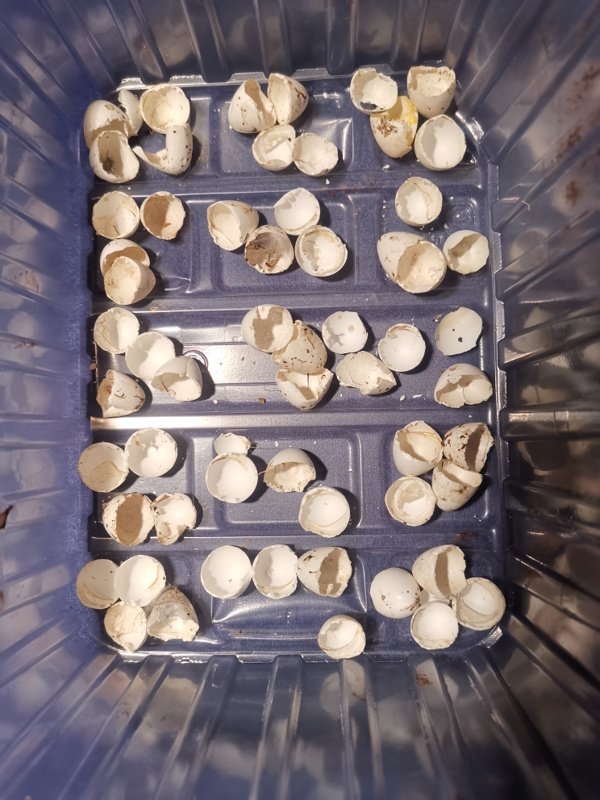 gesammelte Werke