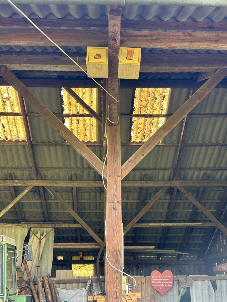 IMG_1653.jpeg
