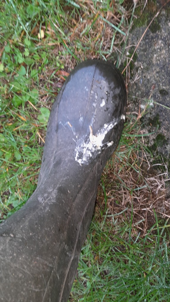 IMG-20251015-WA0008.jpeg