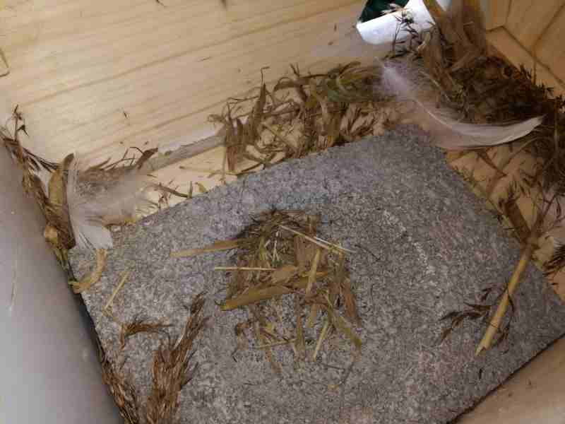 Zeist-Kasten umgeräumt, 03.07..jpg