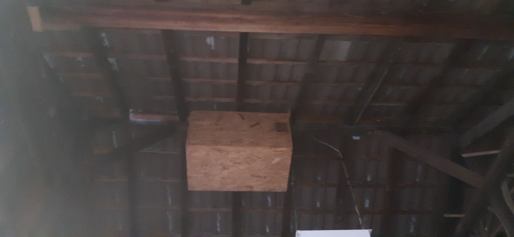 Schleiereulen-Kasten