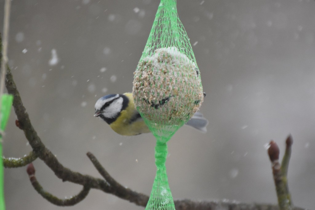 Gar nicht fotoscheu...