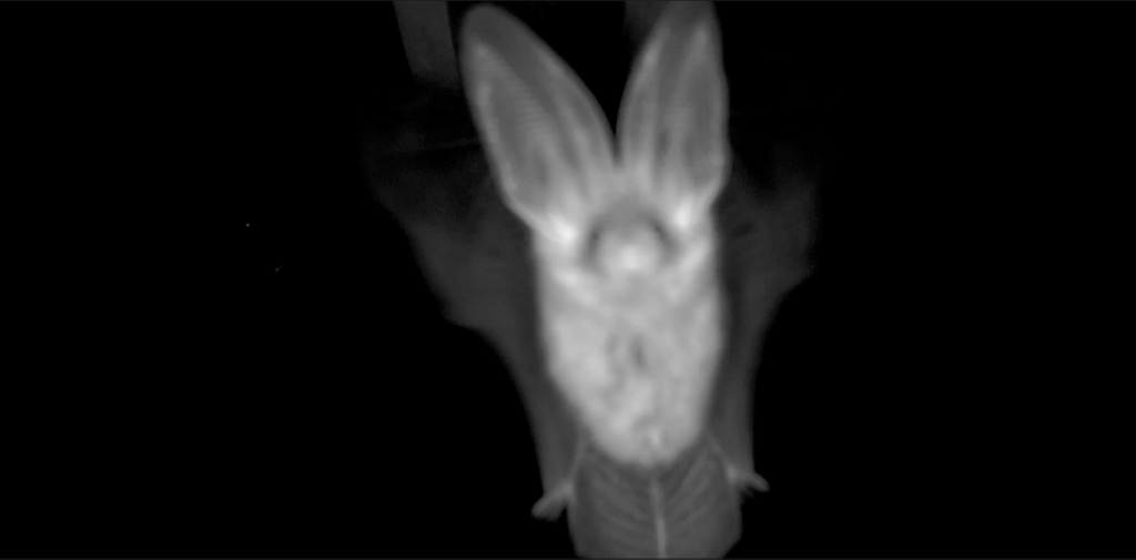 Screenshot 2026-03-15 085219.png