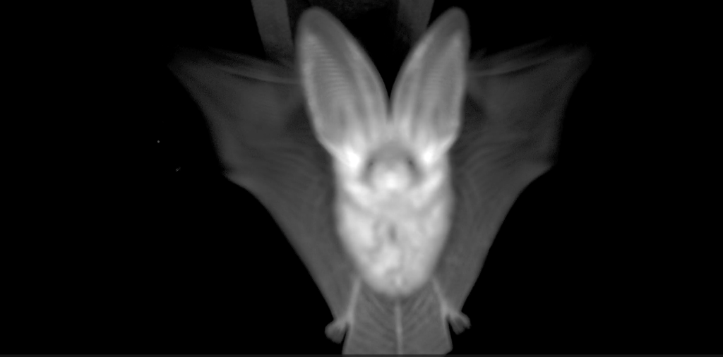 Screenshot 2026-03-15 085330.png