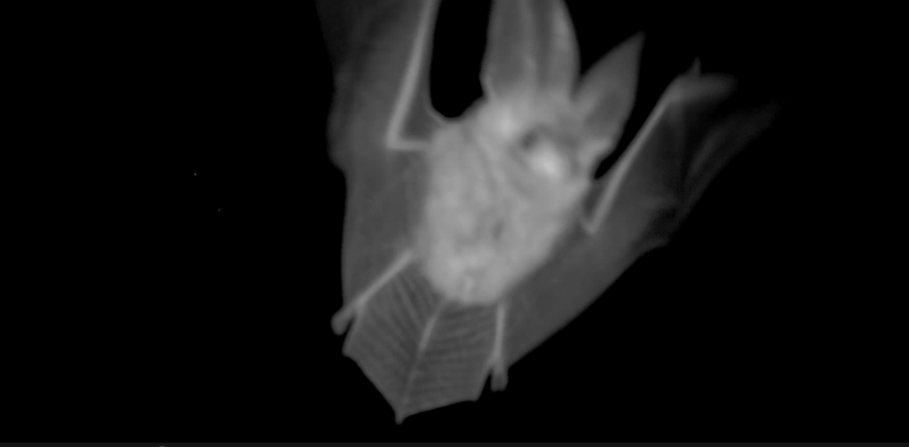 Screenshot 2026-03-15 085243.png