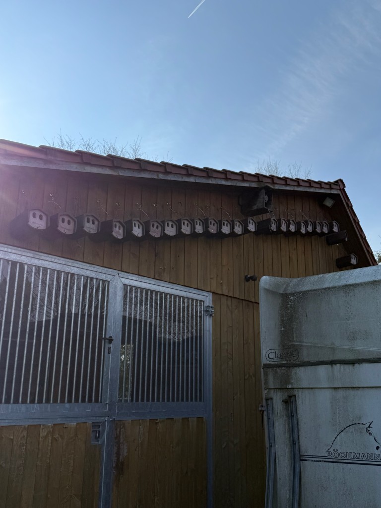 IMG_4943.jpeg