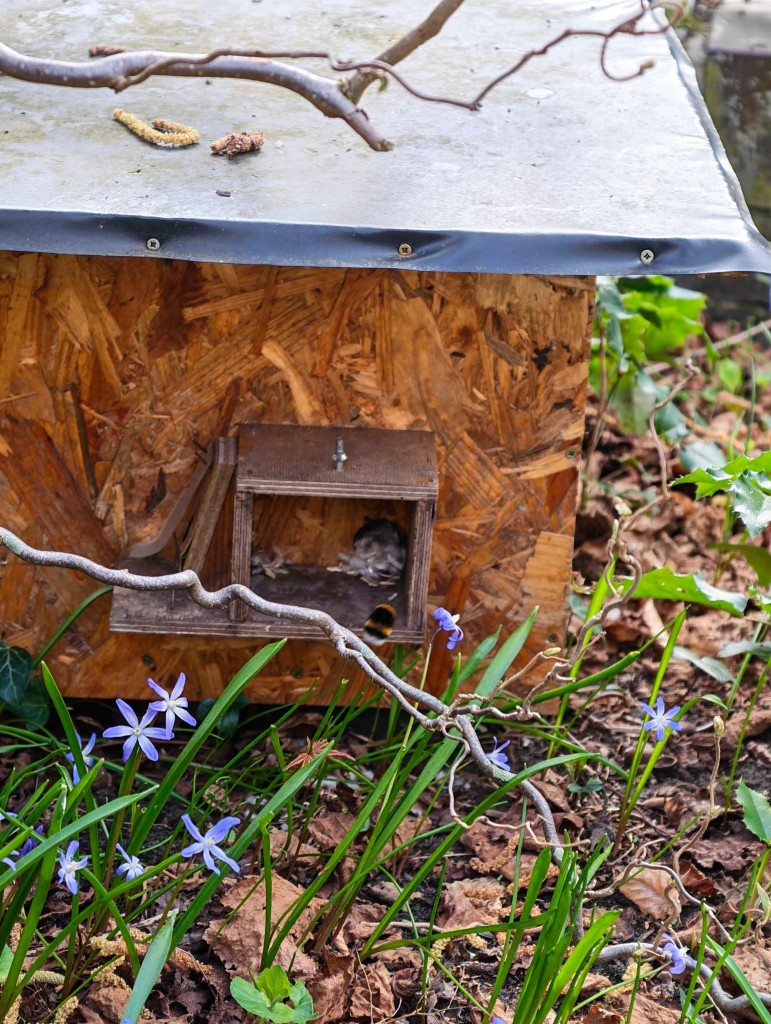 Hier beginnt sie gerade ihre Orientierungsrunde.