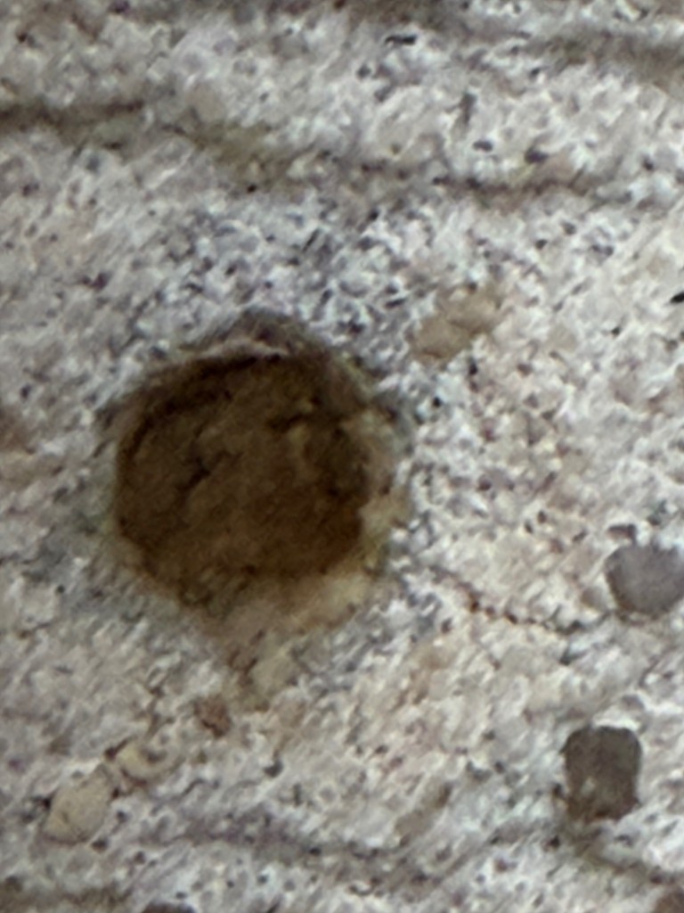 IMG_0845.jpeg