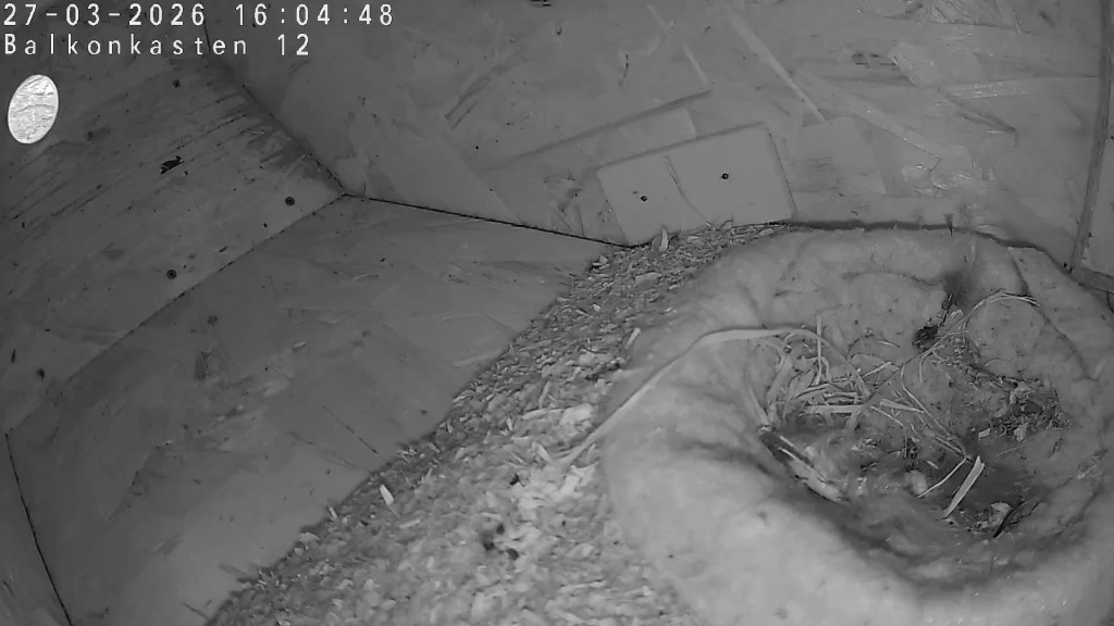 Balkonkasten 12 nach Umbau: rundes Loch (45 mm) mit davor liegender Rampe