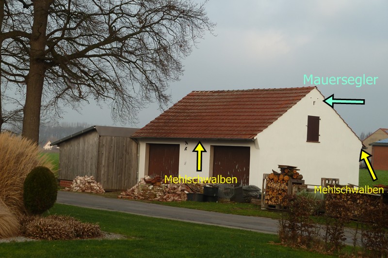 P1070733-1-800.JPG