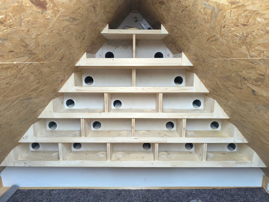 Ansicht ohne Fenster.jpg