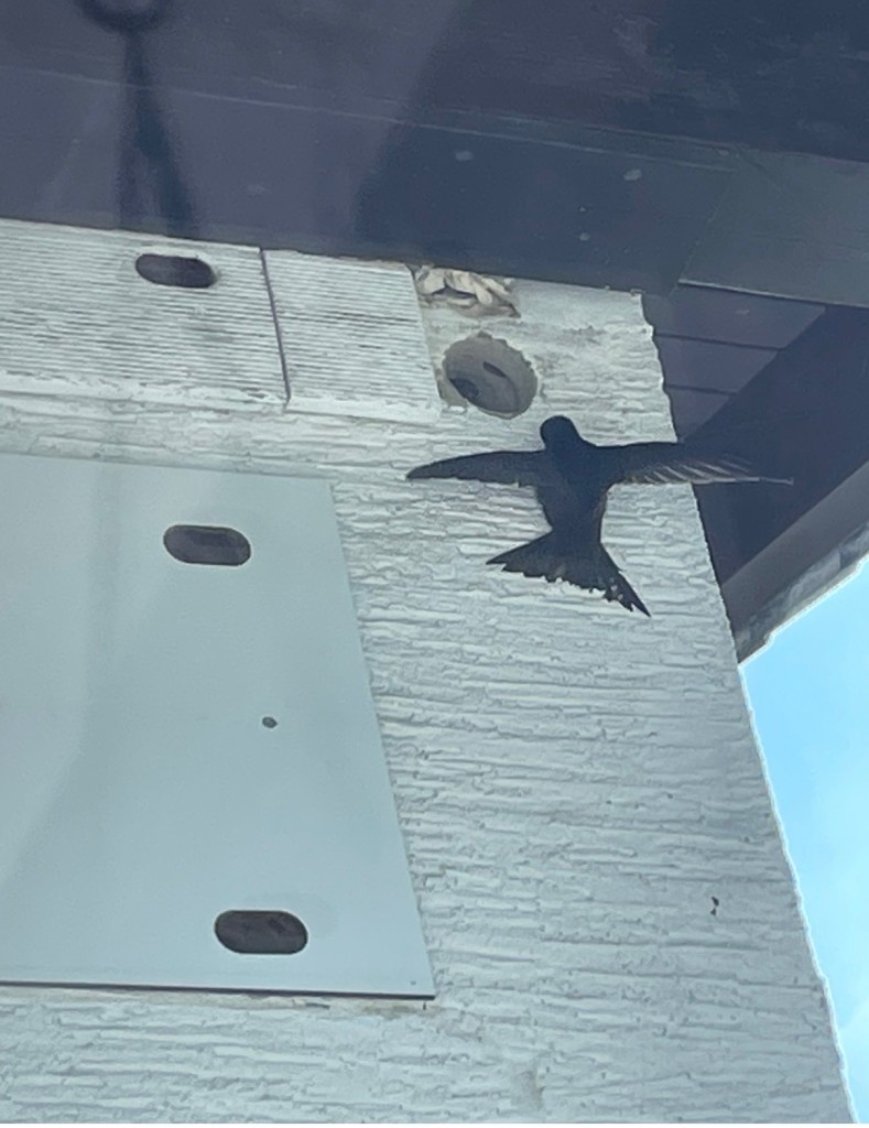 Alte Blende, rechts runder Zugang mit VP.