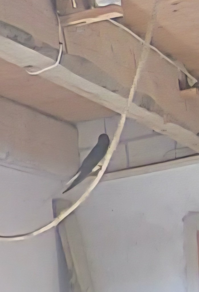 Werkstatt uni_0_playback_1775555331626.jpg