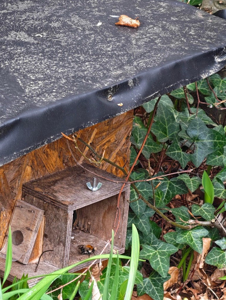 Sie verlässt den Kasten ...