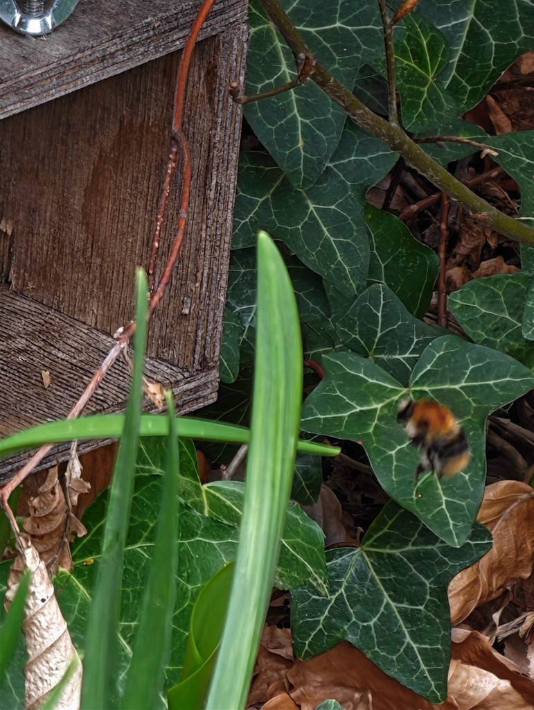 ... und startet einen Orientierungsflug