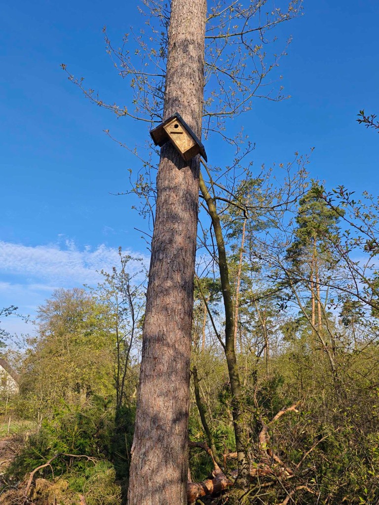 So sieht das aus der Sicht von Rindern Pferden und Besuchern aus