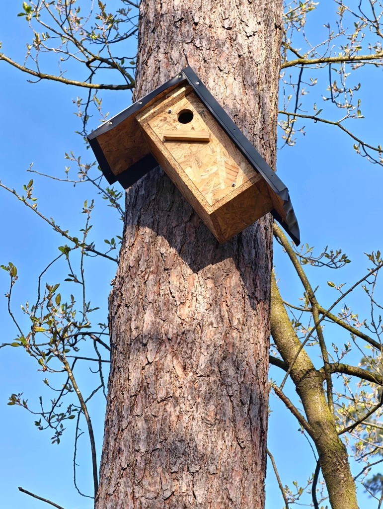 Die Kurze Dachseite weißt nach Süden und hat einen weißen Regenschutz