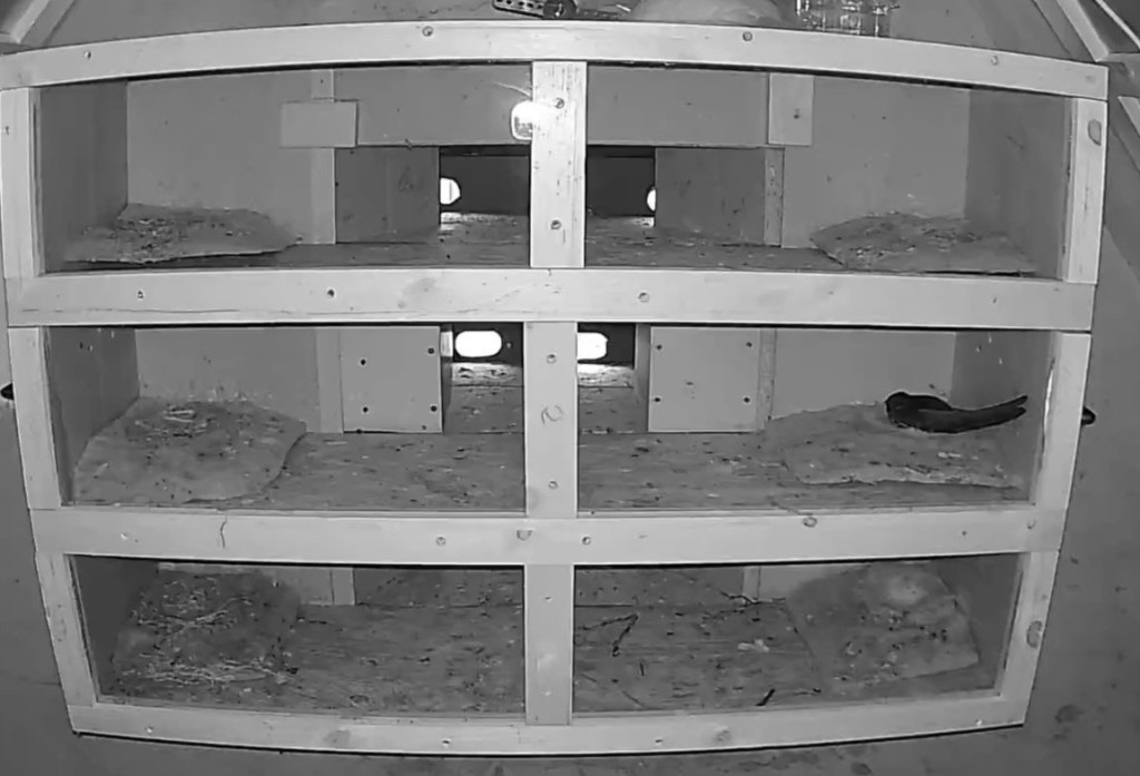 Nr. 2 ist angekommen