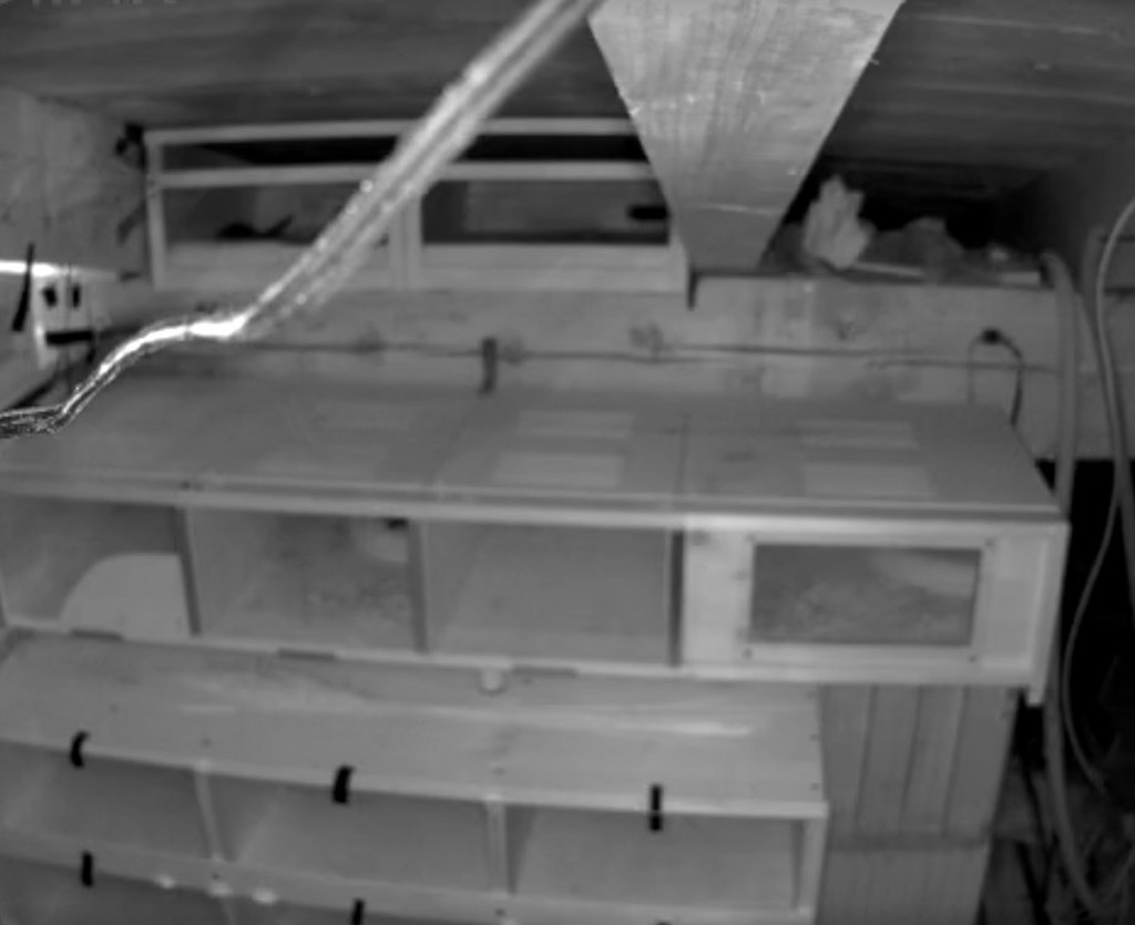 Neuankömmling von heute re. darunter der Erste