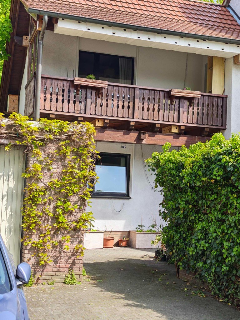 Staren-Alternativangebot unter dem Balkon. Mauerseglersicher??? Links oben an der Wand einer der Kästen, den die Segler bisher komplett in Ruhe ließen.