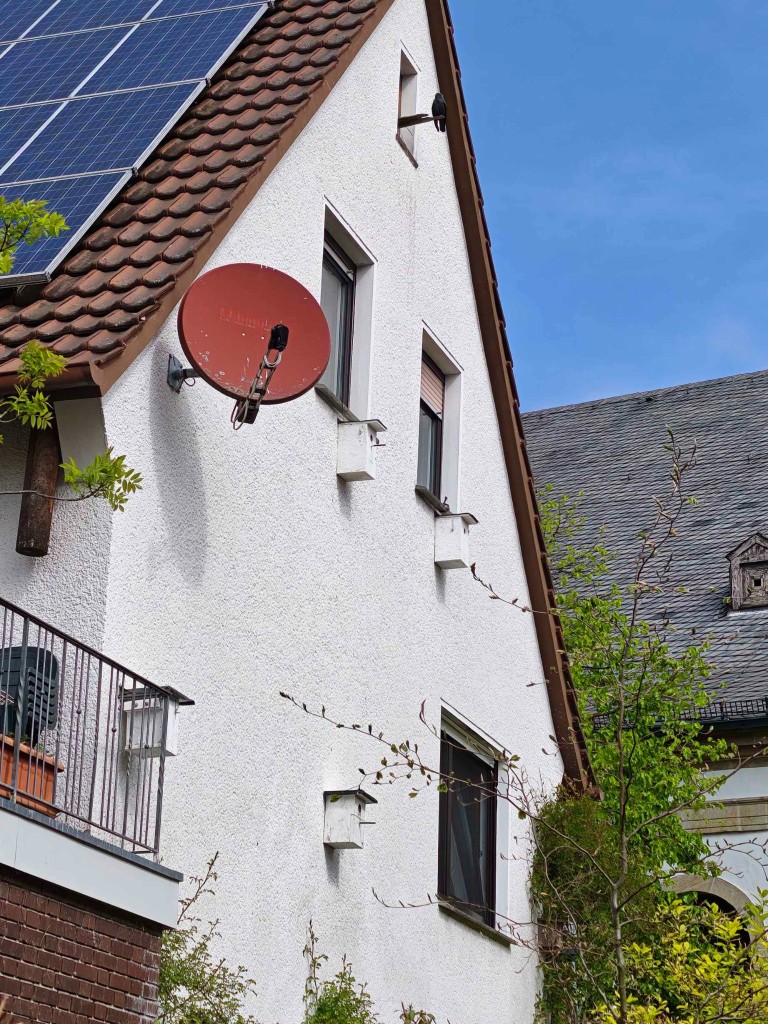 Gesamtansicht der Ostseite: der Kasten unter dem linken Fenster wurde mit Kamera ausgestattet. Im Giebel ein Dohlenkasten, dessen Bewohner mit Seglern und Staren in friedlicher Koexistenz leben. Links am Balkongeländer ein Alternativ-Kasten.