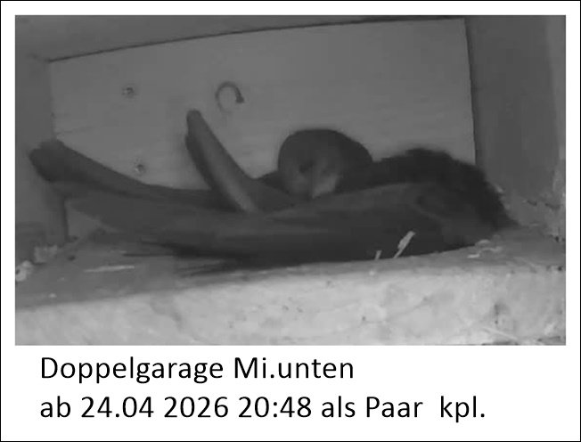 Ankunft DG 2026-2.jpg