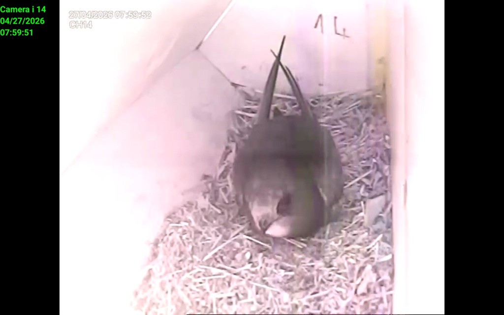 Erster Segler 2026 Lüneburg