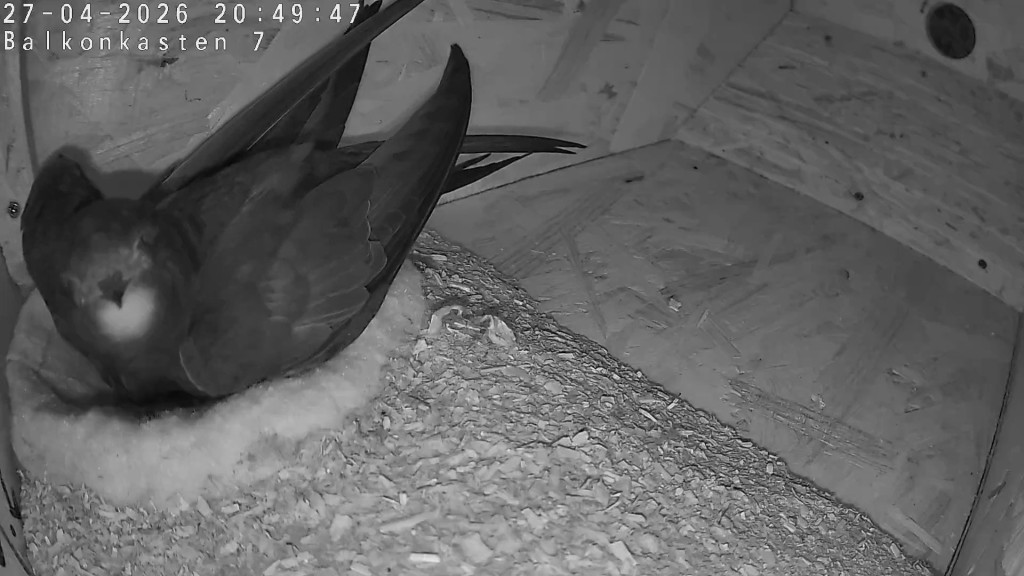 Heute zur Abwechslung mal wieder gemeinsam und in einem Kasten genau zwischen 4 und 10