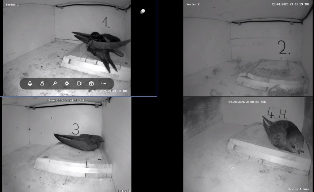 Screenshot 2026-04-28 210221.jpg