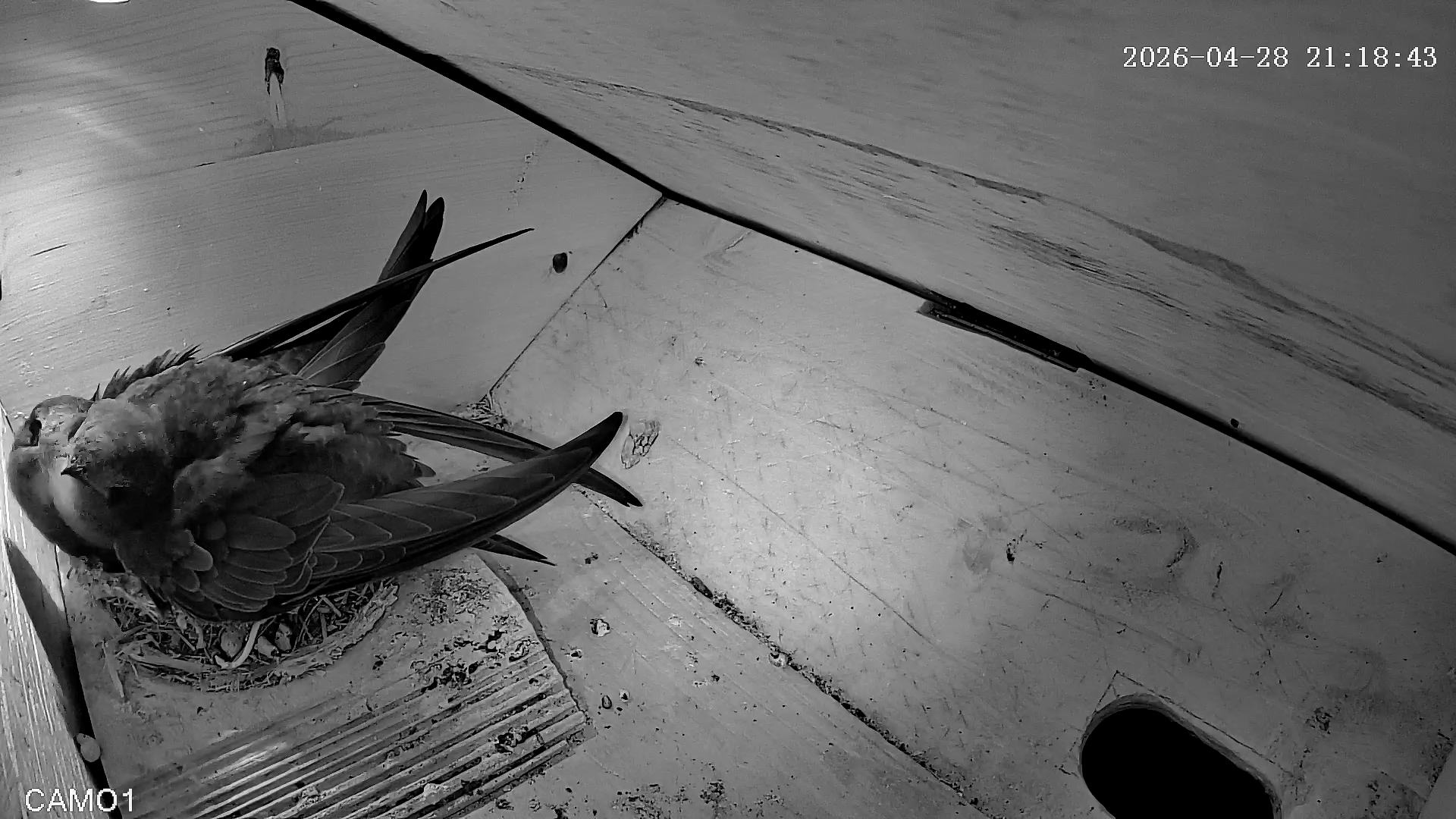 Das Leben ist schön!