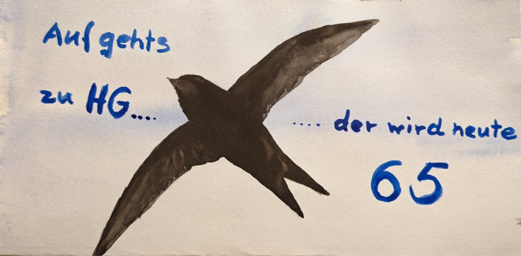 Der helle Kehlfleck ist leider bei der Herstellung zugelaufen.
