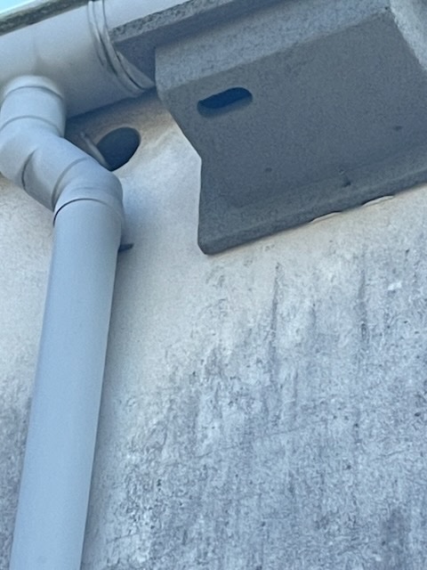 IMG_0700.jpeg