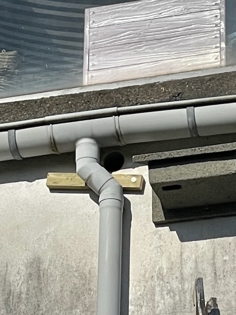 IMG_0705.jpeg