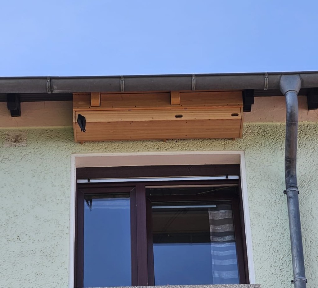 Anhänge am 2.Tag der Lockrufe
