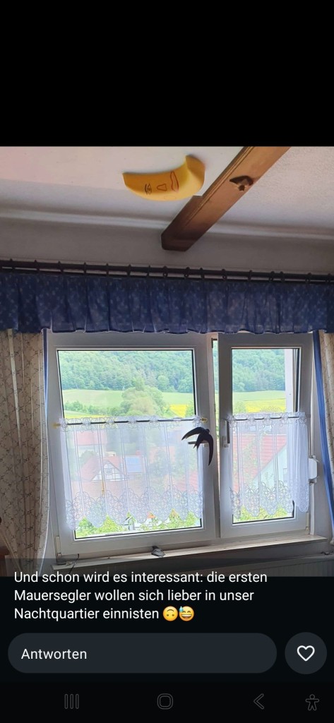 Schlafzimmerbesuch