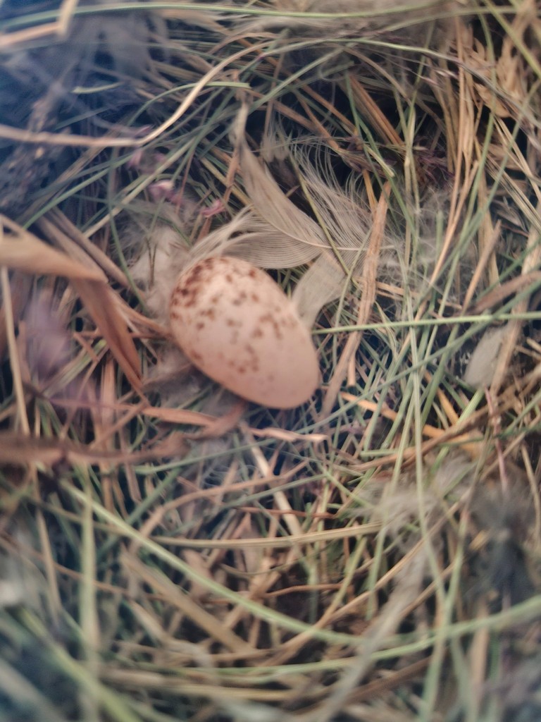 20260530_134912.jpg