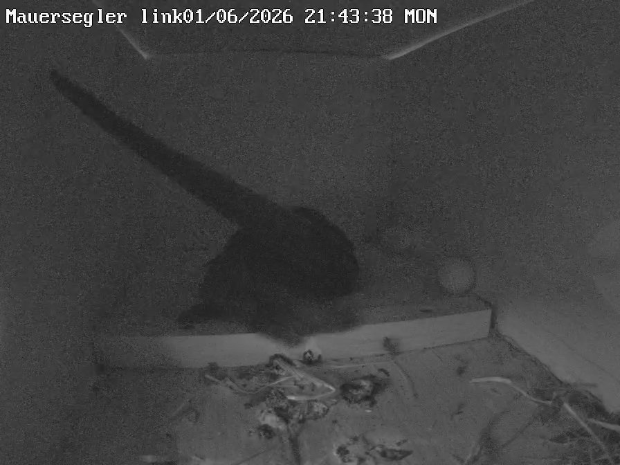 Jetzt:erneut 2 draußen