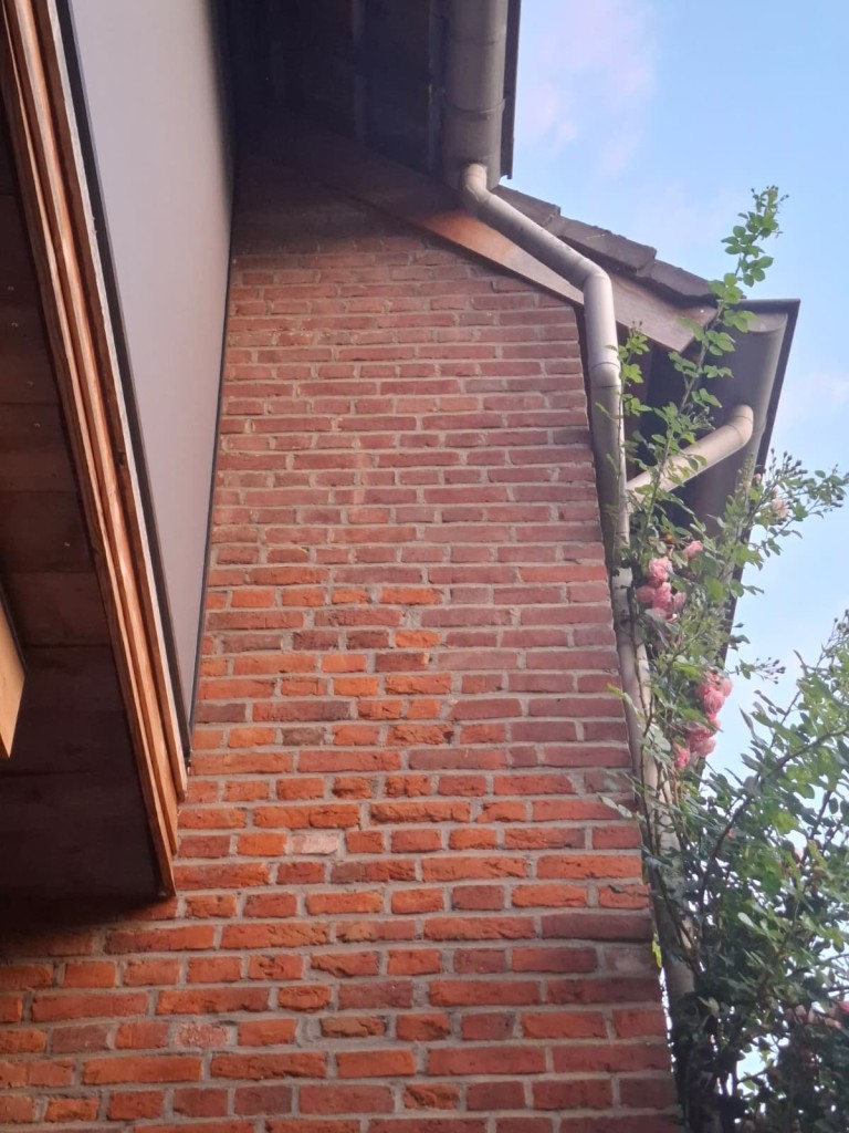 Gierzwaluw locatie potentieel 1.jpeg