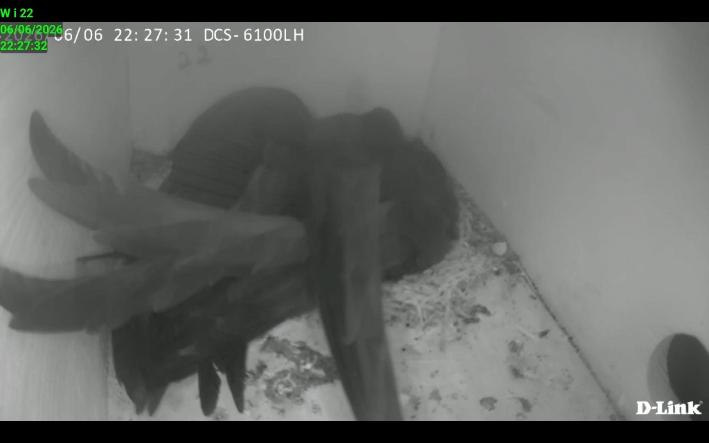 Screenshot_20260606_222732_IP Cam Viewer Lite.jpg
