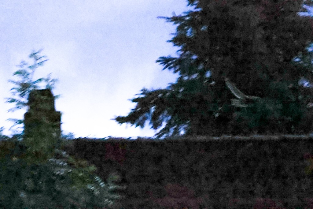PSX_20260609_230055.jpg