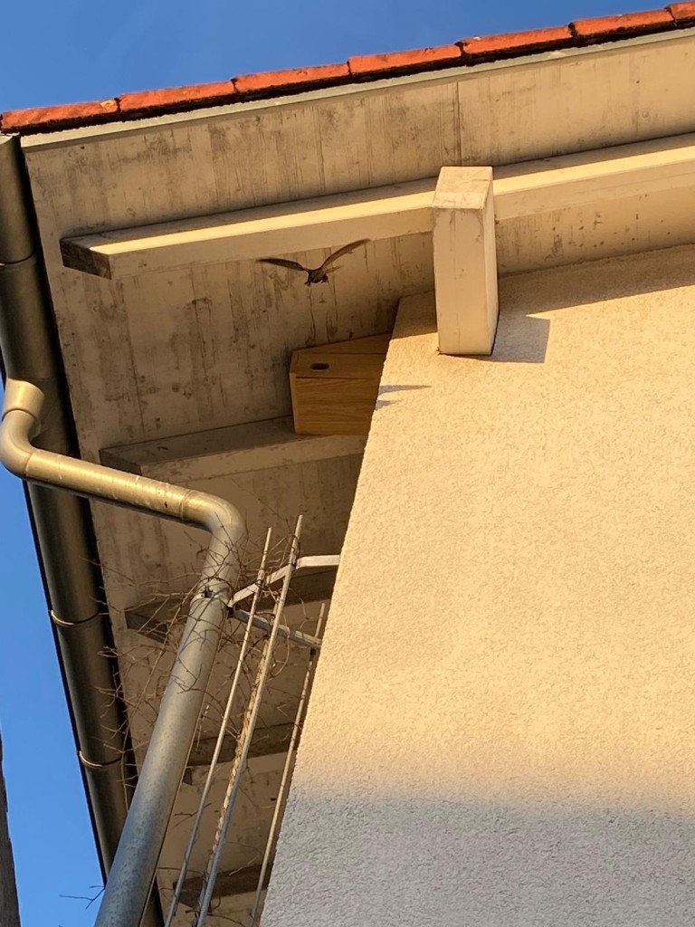 oberhofen1.JPEG