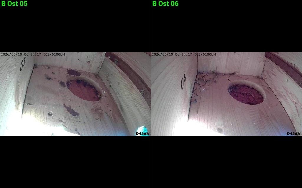 Screenshot_20260610_062220_IP Cam Viewer Lite.jpg