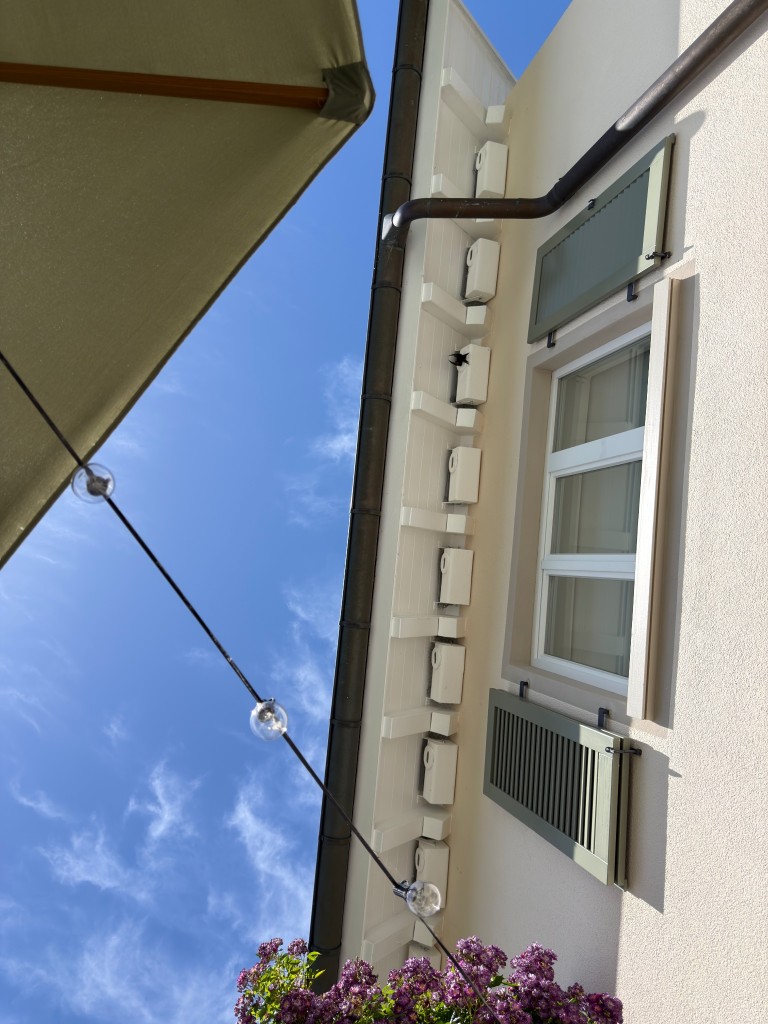 IMG_3264.jpeg