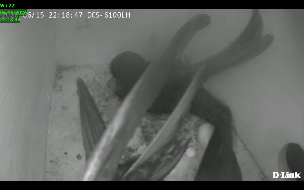 Screenshot_20260615_221848_IP Cam Viewer Lite.jpg