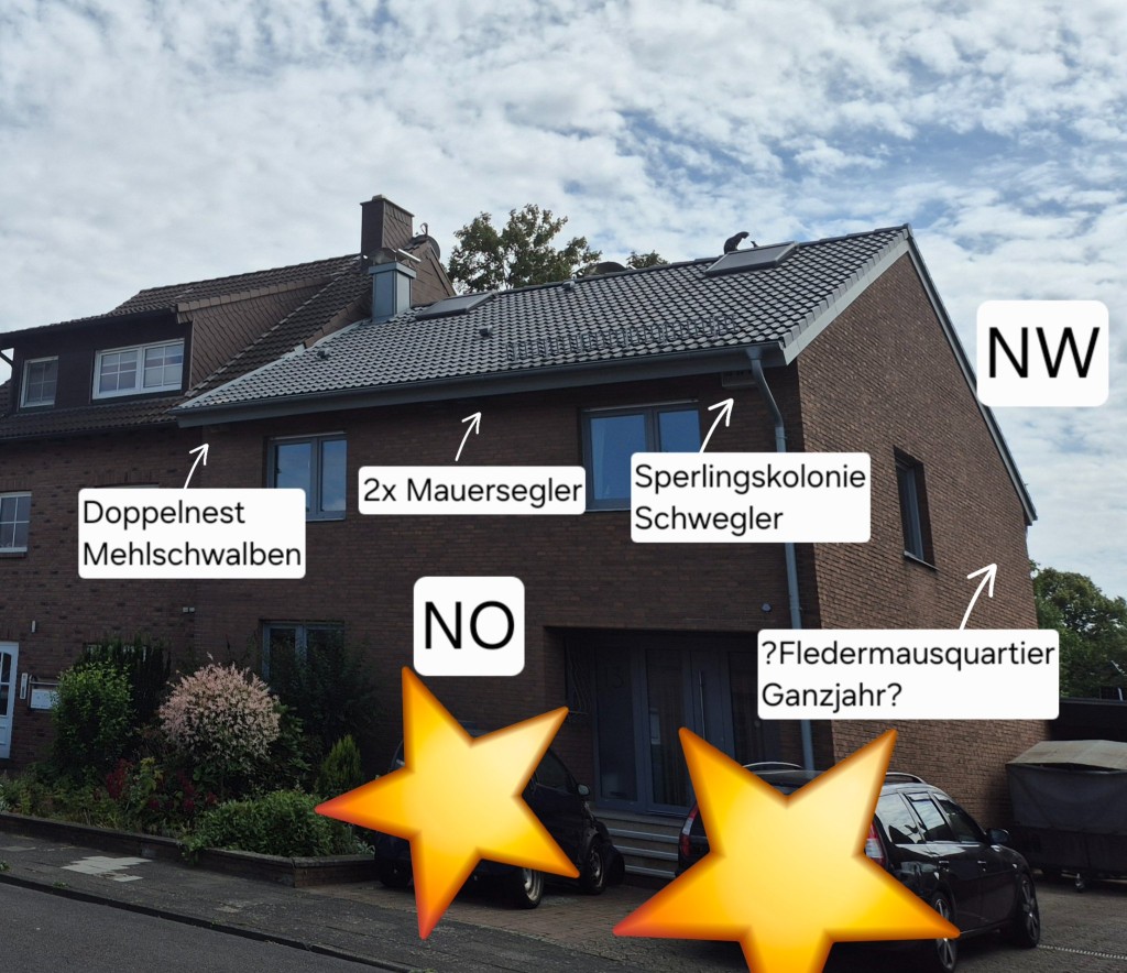 Straßenseite